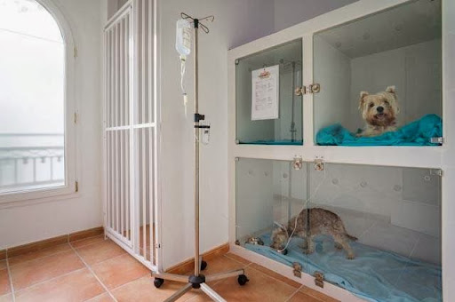 Clínica Veterinaria CalviaVet - Thumbnail