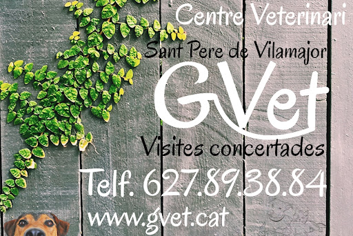 GVet - Centre Veterinari