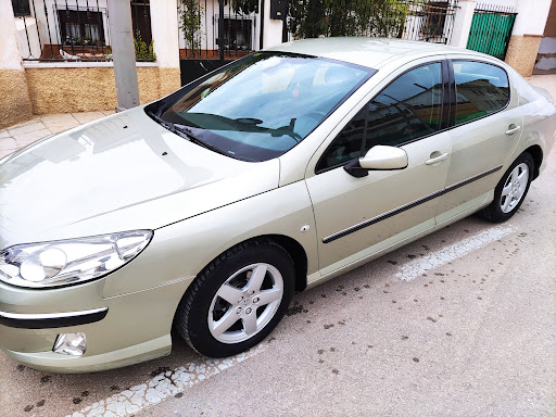 Lavadero gallardo