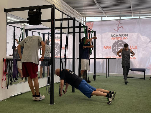Nomada Training - Visual