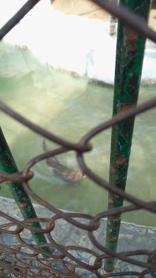 Fountain, Lahore Zoo