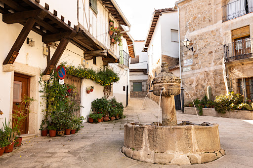 Casa Rural El Camino de Yuste