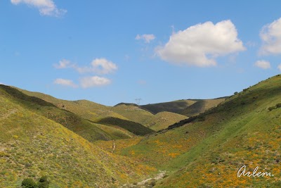 Photos of Riverside County Regional Conservation Authority