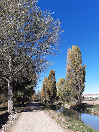 Acequia - Thumbnail