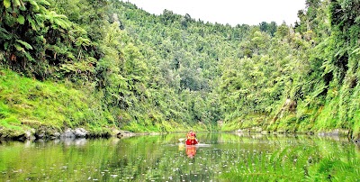 Photos of Whanganui River Canoes