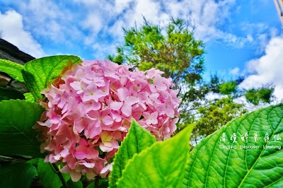 photo of 岭仙花园渡假山庄