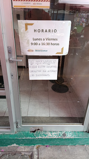 Banco del Bienestar - Los Reyes La Paz - Thumbnail