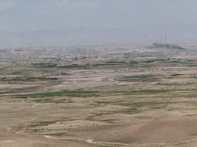 Tarnak