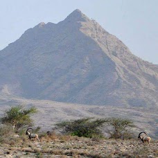 Kirthar National Park Karachi