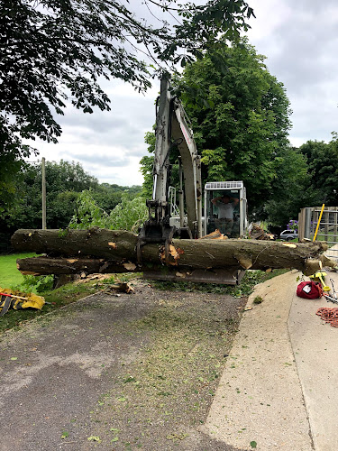 Hampshire Tree Services (Hambledon)