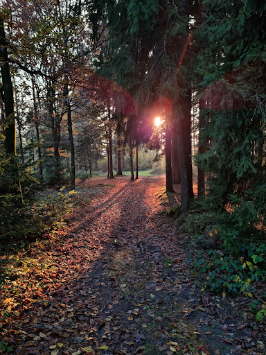 Buchaberger Kapelle - Thumbnail
