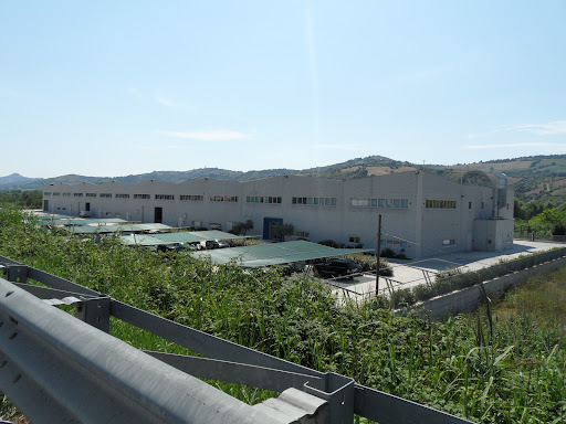 Fridea Srl - Visual
