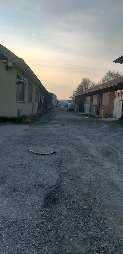 ENRIETTA - Visual