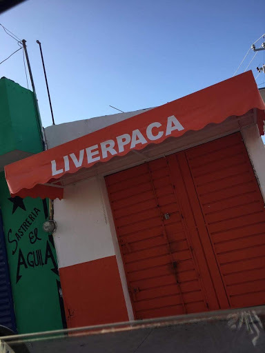 Liverpaca - Visual