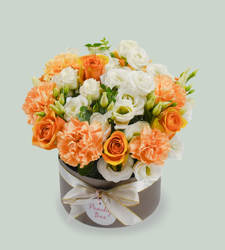 Peachy Box - Visual