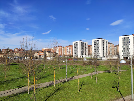 Borinbizkarra parkea