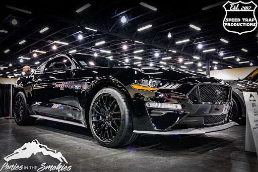 Northeast Tennessee Mustang Club - Thumbnail