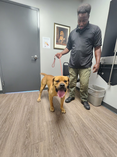 Pine Grove Animal Hospital - Thumbnail
