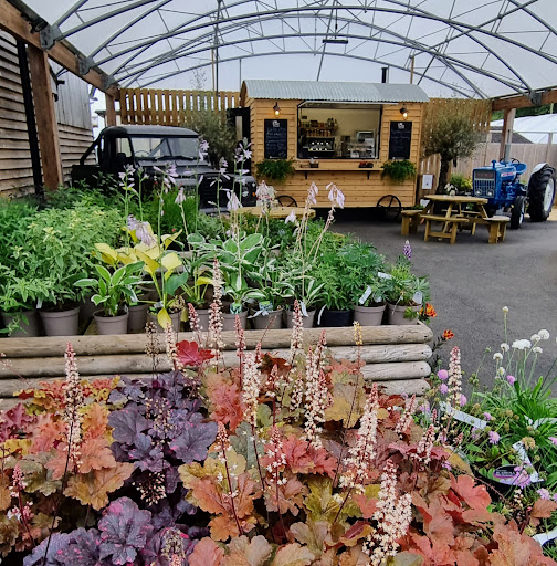 Coffee Shop At Ferndene Farm Shop - Thumbnail
