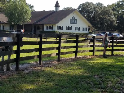 Photos of The Gypsy Gold Farm