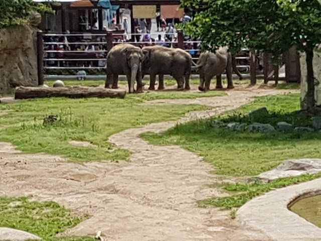 Smithsonian National Zoological Park