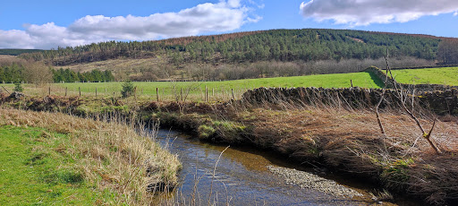 Craik Forest Upper Car Park - Thumbnail