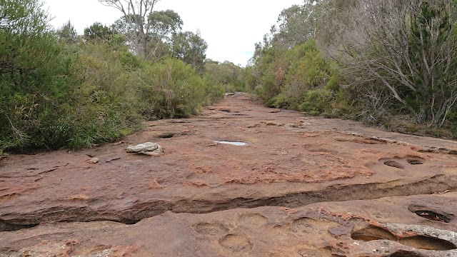 Maddens Falls