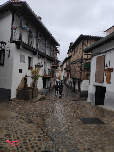 Hervas - Visual