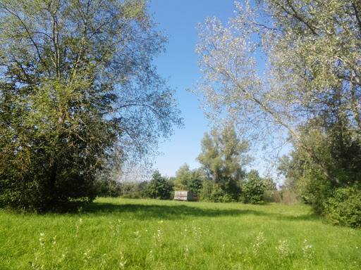Lehnershügel - Thumbnail