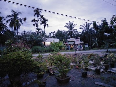Photos of Penginapan MIROTA ajamu
