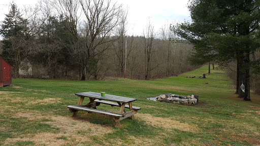 Bear Bluff Cabin - Visual
