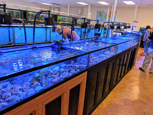 Aquatek Tropical Fish - Thumbnail