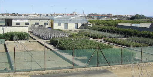 Viveros Enrique Cubillos S.L. - Foto 1