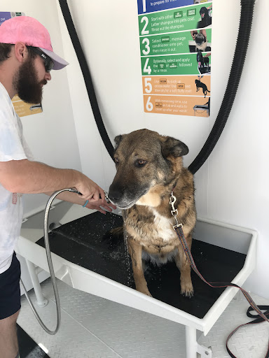 Apollo's Self Serve Pet Wash - Thumbnail