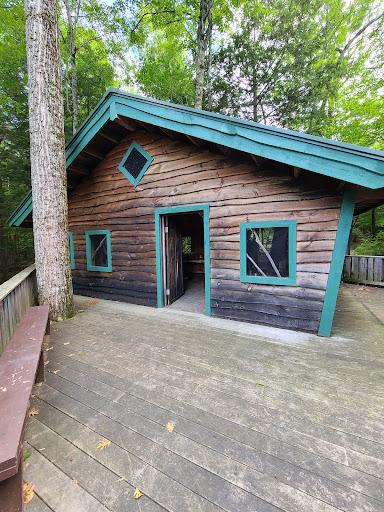 Pine Tree Camp - Visual