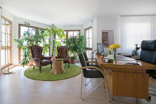 Naturheilpraxis am Pleichertor - Martina Wagner