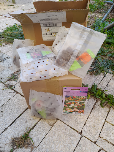 Koeman Flowerbulbs / Florablom