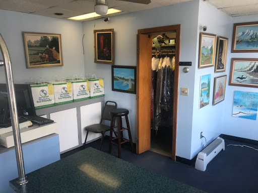 American Dry Cleaning - Hygienizing