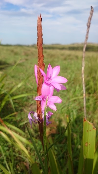 Photos of Ngoye Forest Reserve