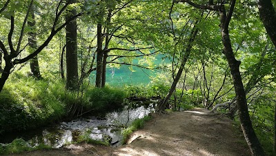 Photos of 플리트비체공원