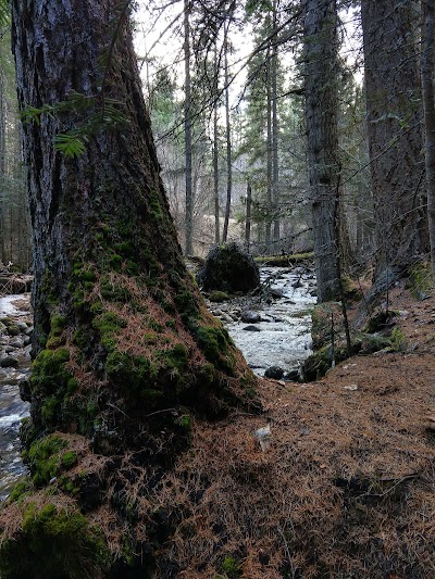 Charles Waters Campground