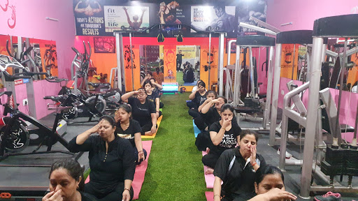 The Ultimate Fitness Gym