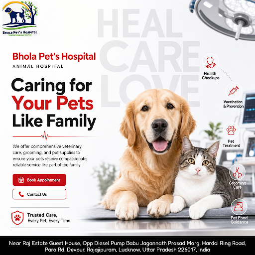 Bhola Pet's Hospital is your trusted pet clinic offering top-quality veterinary care, pet groomin… post image