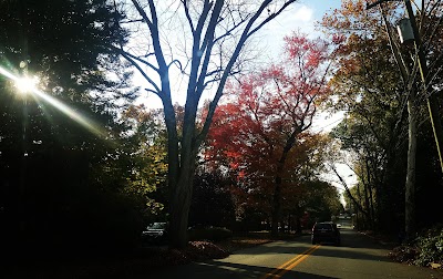 Oradell