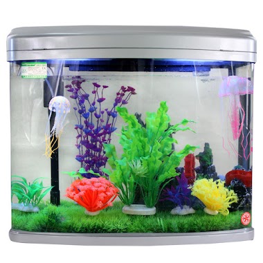 H R Fish AQUARIUM, Author: H R Fish AQUARIUM