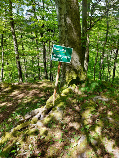 Raubschloss (Gräfenroda) - Visual