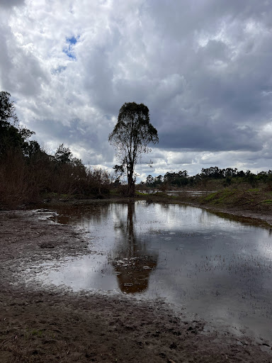 CCC Hawkesbury - Thumbnail