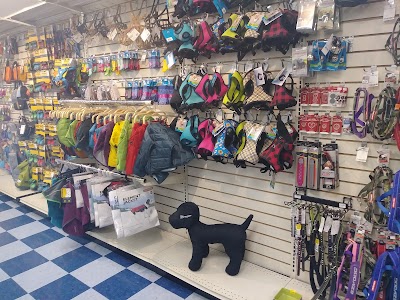 Pet Station Reno