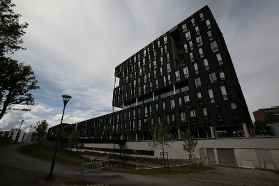 university