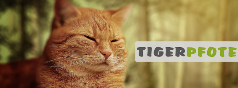 TIGERPFOTE Mobile Tierbetreuung & Gassi-Service Kurhausstraße 58, 65719 Hofheim am Taunus